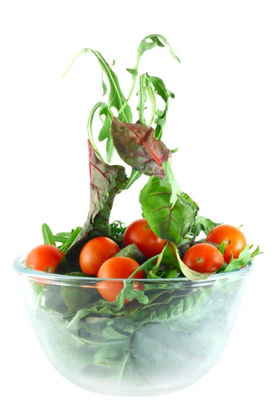 Rucola, Chard and tomatoes salad lightness concept — Stock Photo, Image