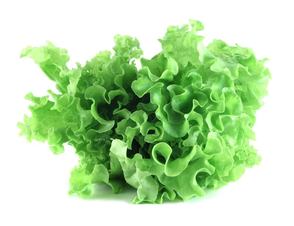 Lettuce salad on white background — Stock Photo, Image