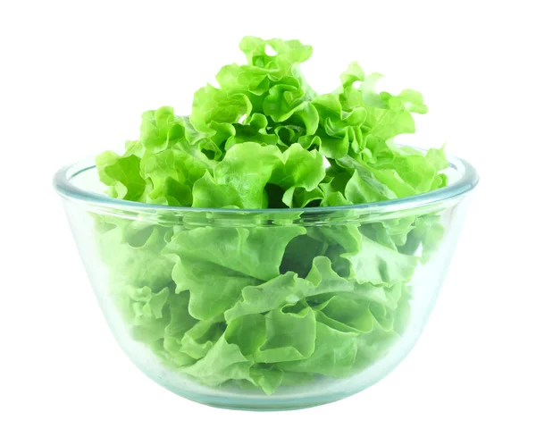 Salada de alface em tigela transparente — Fotografia de Stock