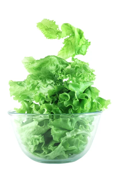 Conceito de salada de alface clara — Fotografia de Stock