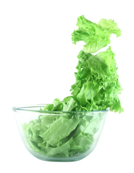 Concepto ligero de ensalada de lechuga — Foto de Stock
