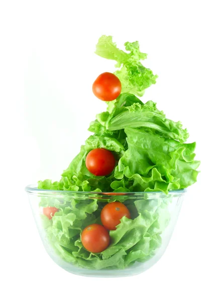Marul ve domates salatası kavramı uçan ışık — Stok fotoğraf