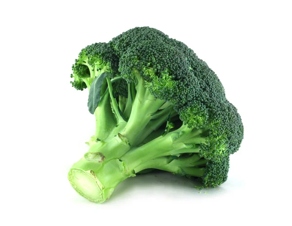 Broccoli på vit — Stockfoto