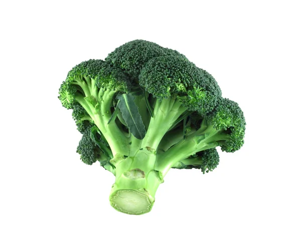 Broccoli op wit — Stockfoto