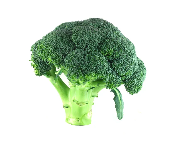 Brokoli di atas putih — Stok Foto