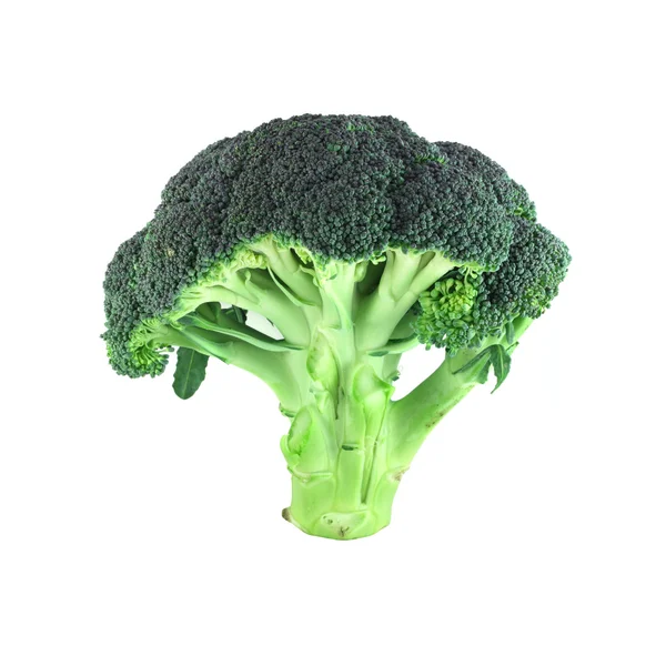 Brokoli üzerine beyaz — Stok fotoğraf