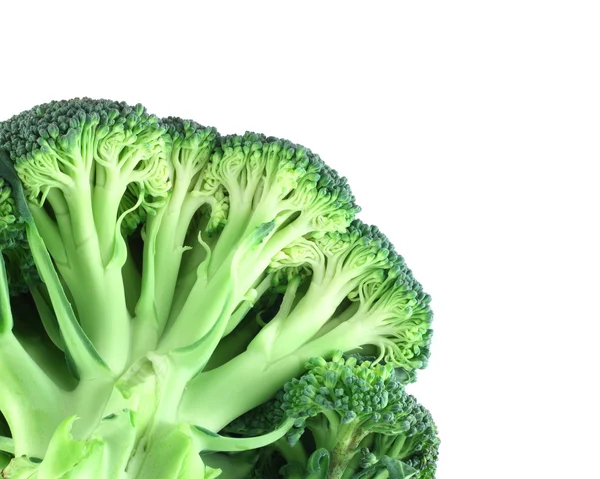 Broccoli i hörnet på vit — Stockfoto