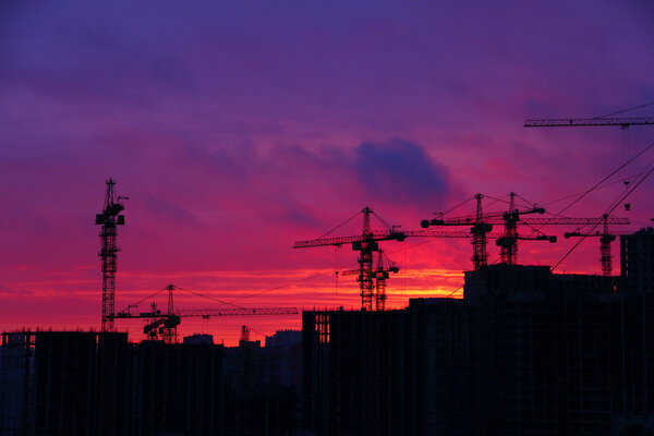 Силуэт Журавля
