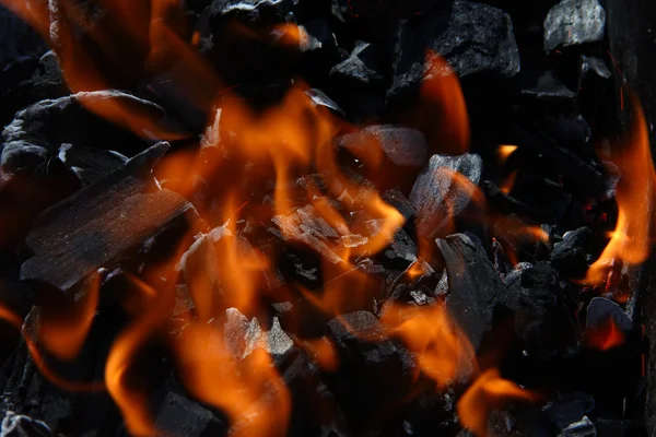 Stock image Fire on coal