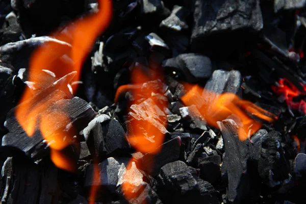 火煤 — 图库照片