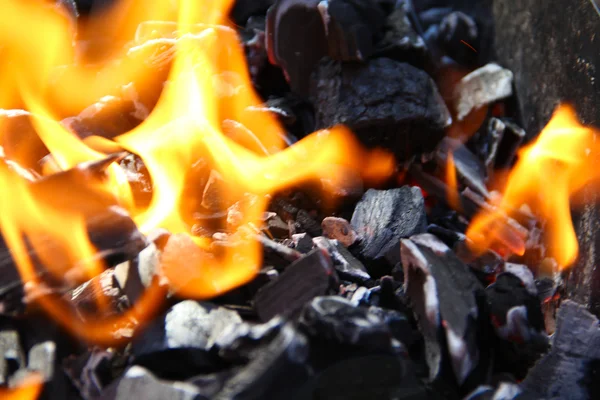 stock image Fire on coal