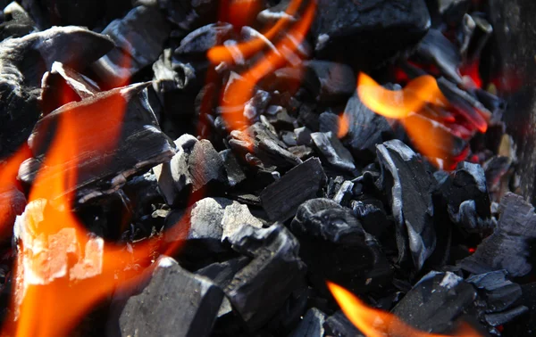 Stock image Fire on coal