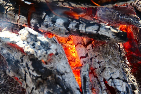 Stock image Fire on coal