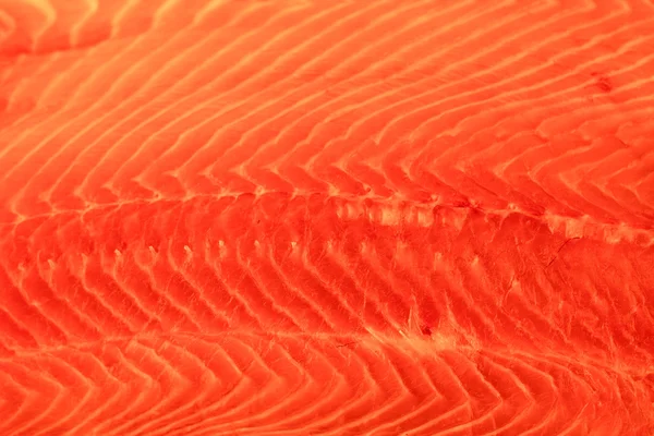 stock image Salmon background