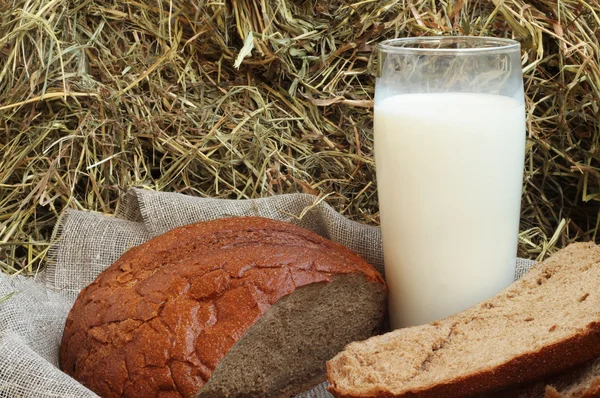 Hnědé plátky chleba a mléko na seno — Stock fotografie