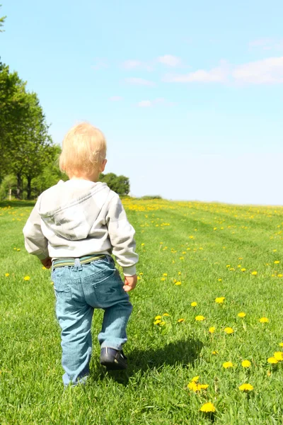 Yeşil alan üzerinde yürüyen çocuk — Stok fotoğraf