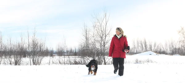 स्त्री कुत्र्याबरोबर चालत — स्टॉक फोटो, इमेज