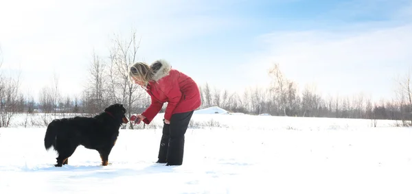 Жінка з собакою в снігу — стокове фото