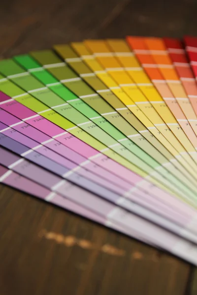 Renk Paleti — Stok fotoğraf