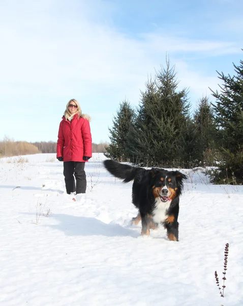 Kadın ile köpek karda — Stok fotoğraf
