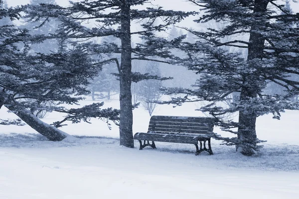 Winter day — Stock Photo, Image