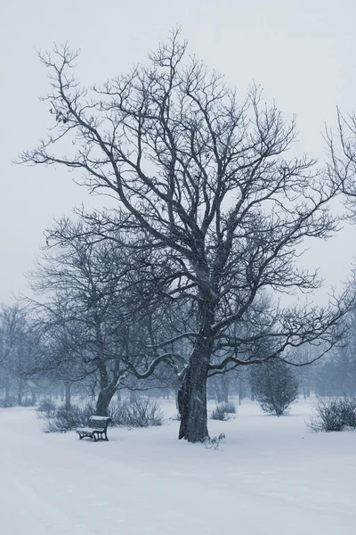 Lavička v zimě — Stock fotografie