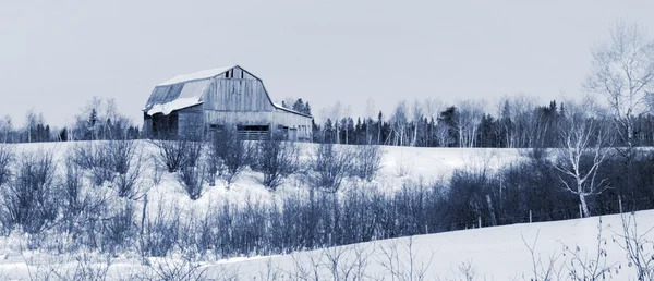Barn in winter — Stock Photo, Image
