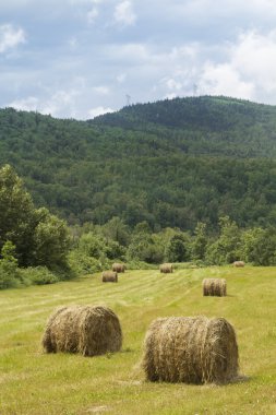 bir alandaki haystacks