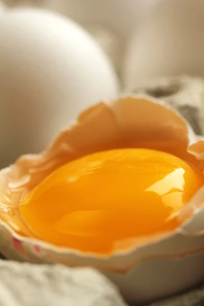 Eigelb in einer Eierschale — Stockfoto