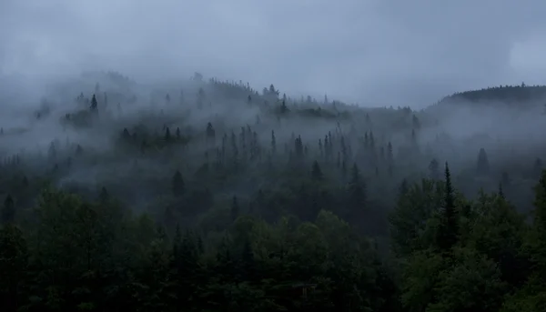 Nebbia drammatica sulla montagna — Foto Stock