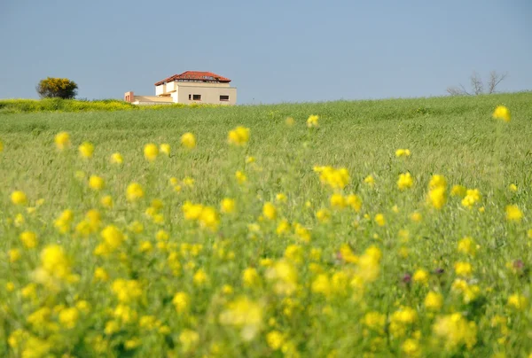 Solitary house. — Stock Photo, Image