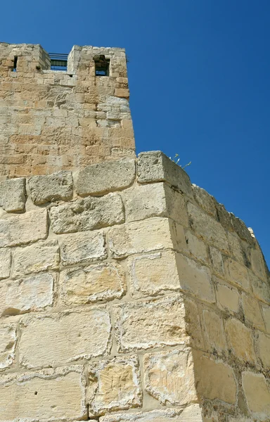La torre David . — Foto de Stock