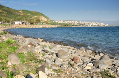 Sea of Galilee view. clipart