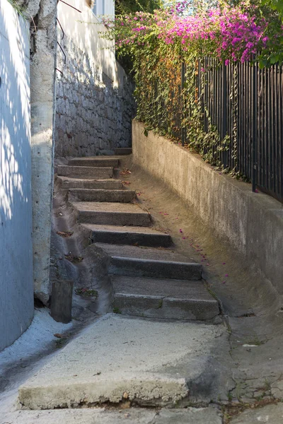 Escadaria subindo em um caminho — Fotografia de Stock