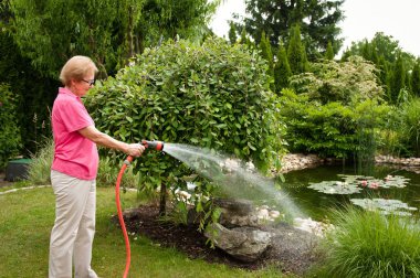 Woman watering garden clipart