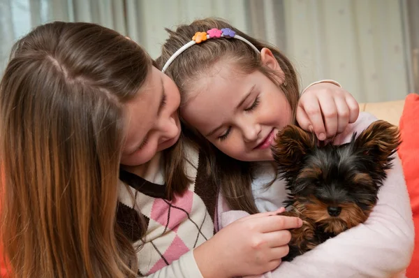 Meisjes spelen met kleine hond — Stockfoto