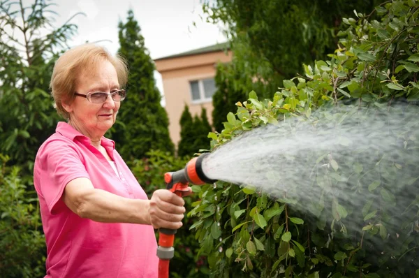 Frau gießt Garten — Stockfoto