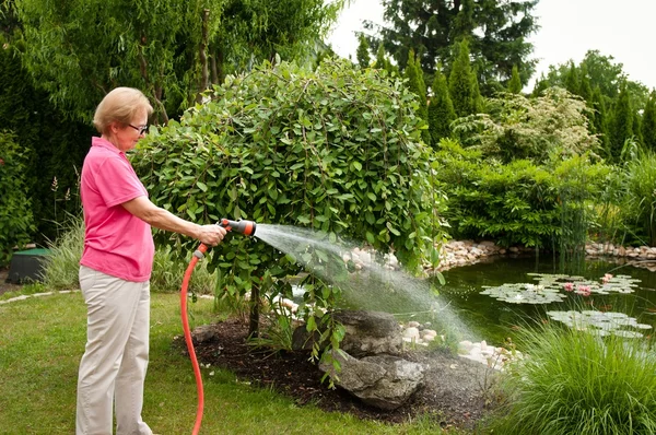 Donna irrigazione giardino — Foto Stock