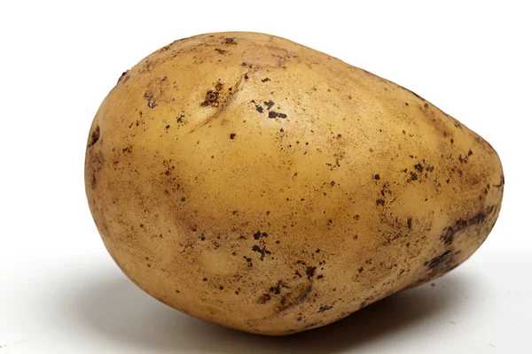 Potatis. — Stockfoto