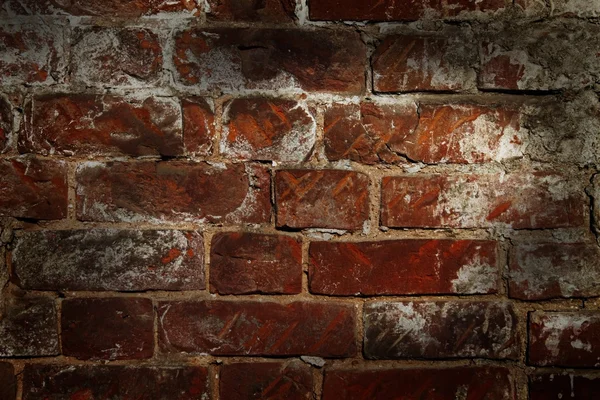 stock image Old wall