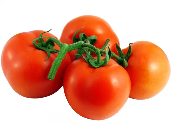 Tomates aislados sobre fondo blanco. — Foto de Stock