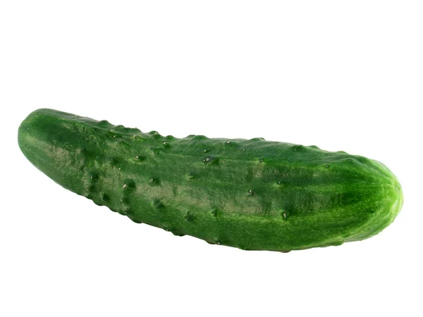 Komkommer geïsoleerd op een witte achtergrond. — Stockfoto