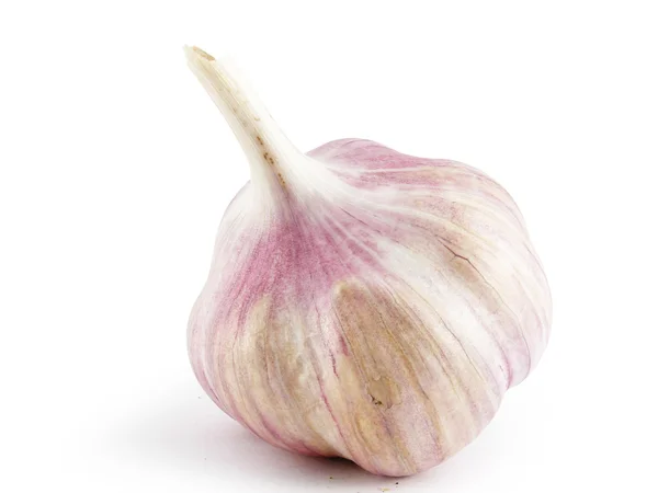 stock image Garlic on a white background.