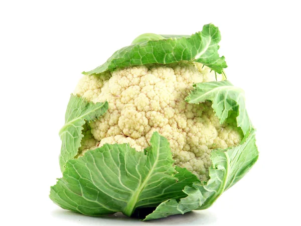 stock image Cauliflower on a white background.