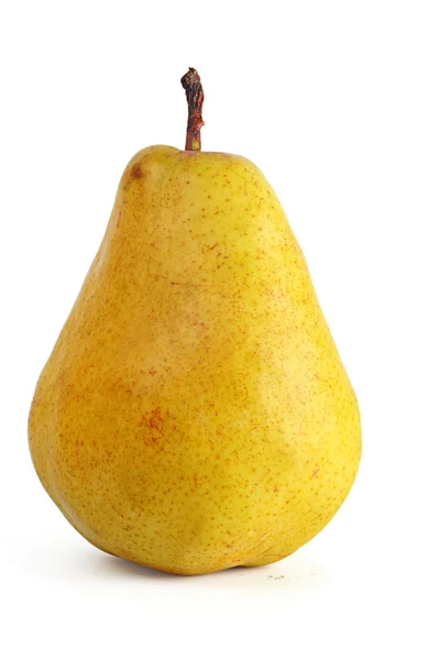 Mogna päron. — Stockfoto