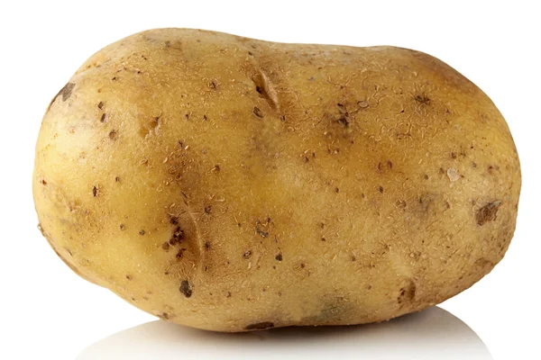 Potatis. — Stockfoto