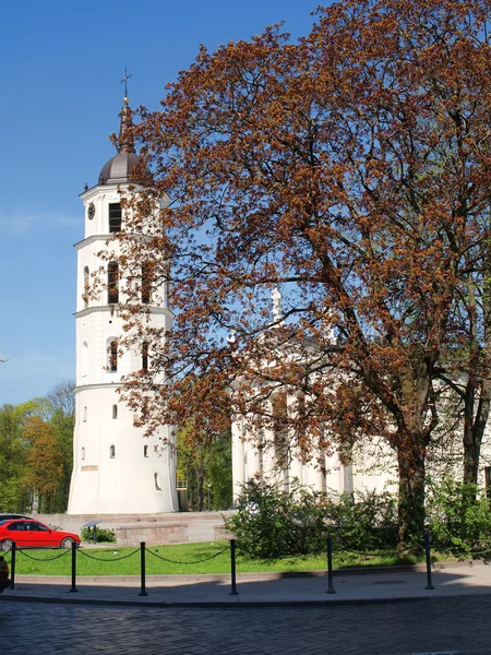 ヴィリニュス大聖堂の鐘楼の塔 - リトアニアの春 — ストック写真