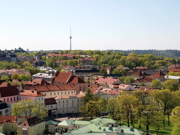 Vulnius Stadt rote Dächer und Fernsehturm auf dem Hügel — Stockfoto