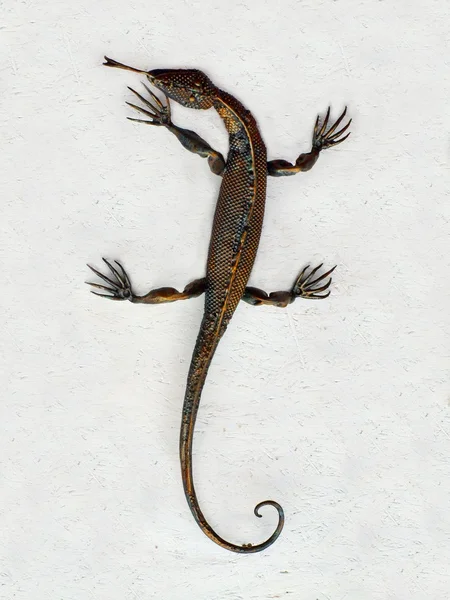 Brown lizard toy on the white wall — Stock Photo, Image