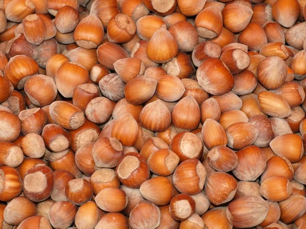 stock image Background with food - nuts to be cracked